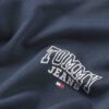 Felpe Tommy Hilfiger entry graphic crew