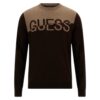 Maglione Guess logo frontale