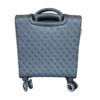 Trolley Guess  Divvy travel