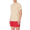 T-shirt Armani Exchange in cotone con stampa