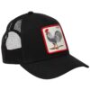 Cappello Goorin Bros cock