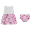 Set Guess junior logo