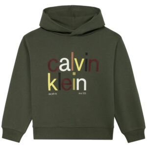Felpa Calvin Klein cappuccio logo