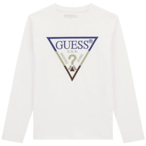 Felpa Guess logo triangolo