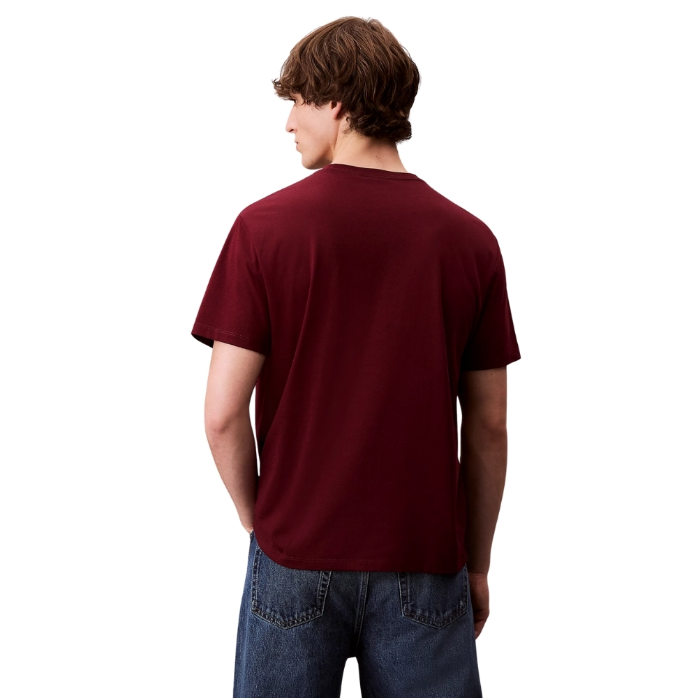 T-shirt Calvin Klein con monogramma con logo