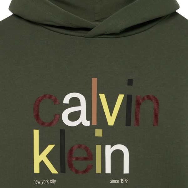 Felpa Calvin Klein cappuccio logo