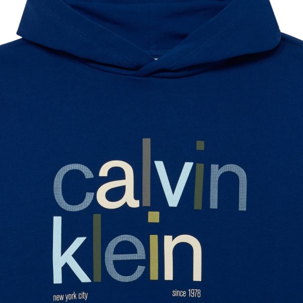 Felpa Calvin Klein cappuccio logo