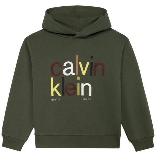 Felpa Calvin Klein cappuccio logo