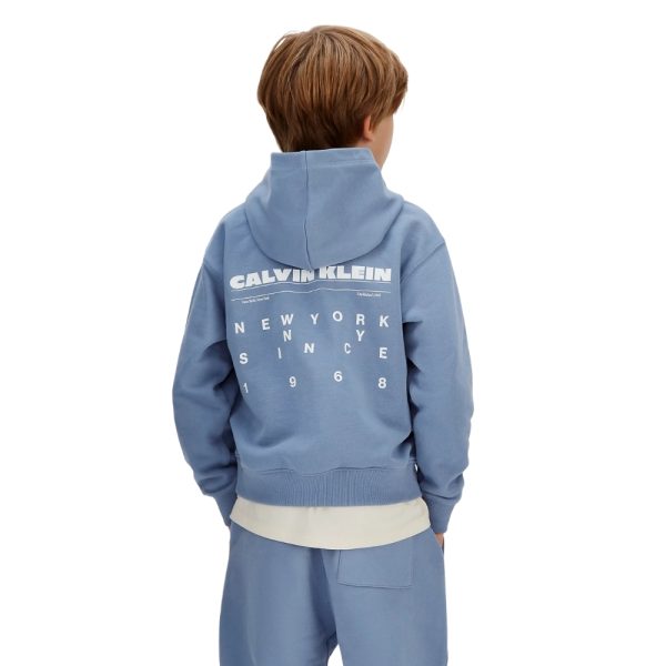 Felpa Calvin Klein con cappuccio e logo stampato sul retro