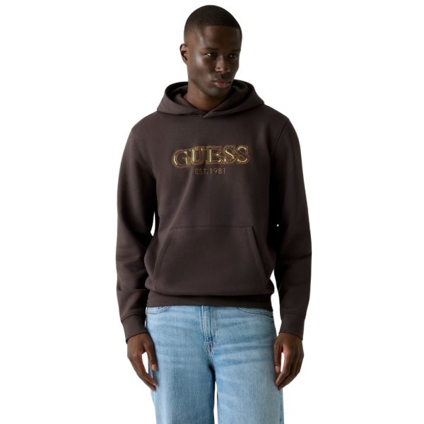 Felpa Guess con cappuccio e logo