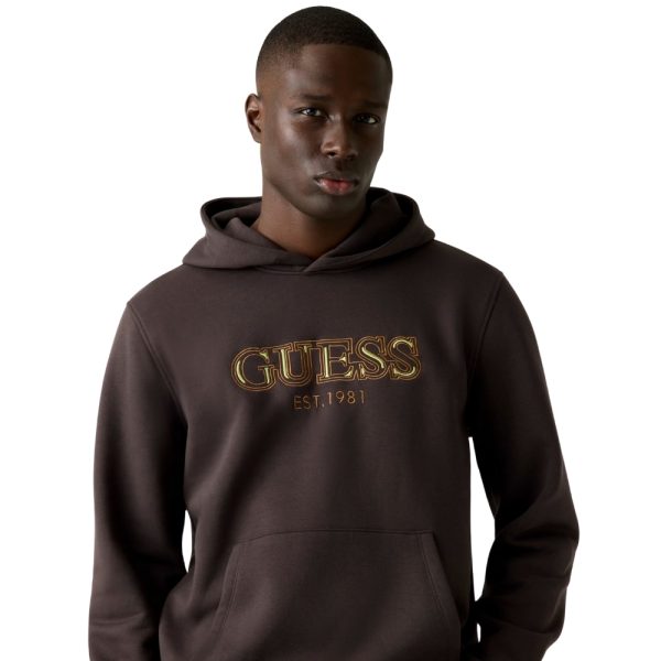 Felpa Guess con cappuccio e logo