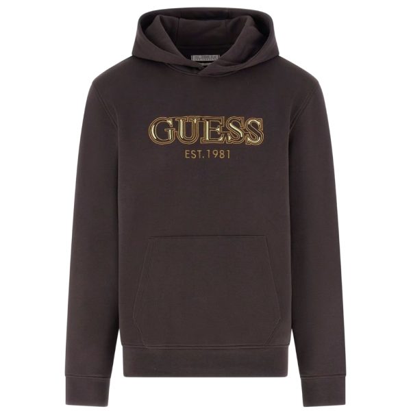 Felpa Guess con cappuccio e logo