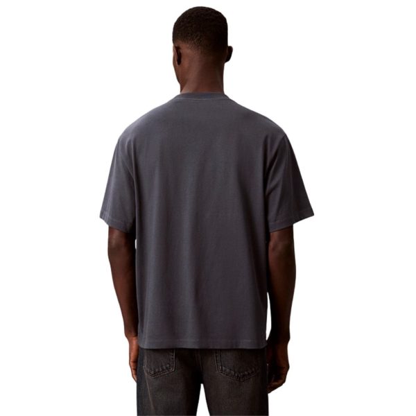 uomo_abbigliamento_tshirt_calvinklein_lv04re815gwd7p26_79932_11446_2_hd.jpg