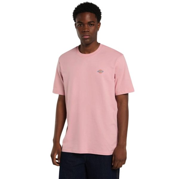 uomo_abbigliamento_tshirt_dickies_dk0a4xdbl471p26_49103_7944_2_hd.jpg