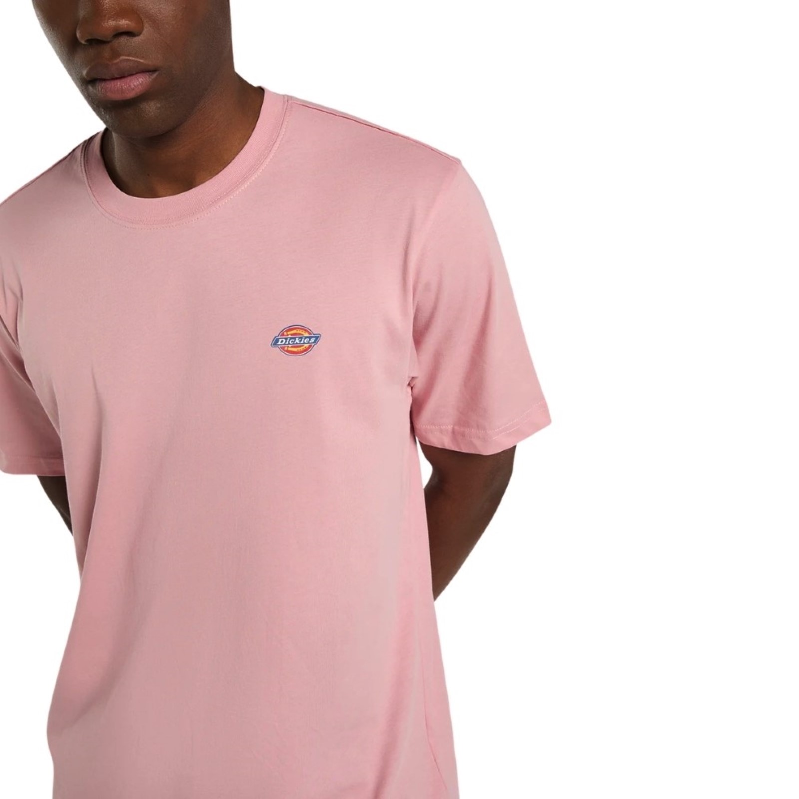 uomo_abbigliamento_tshirt_dickies_dk0a4xdbl471p26_49103_7944_4_hd.jpg