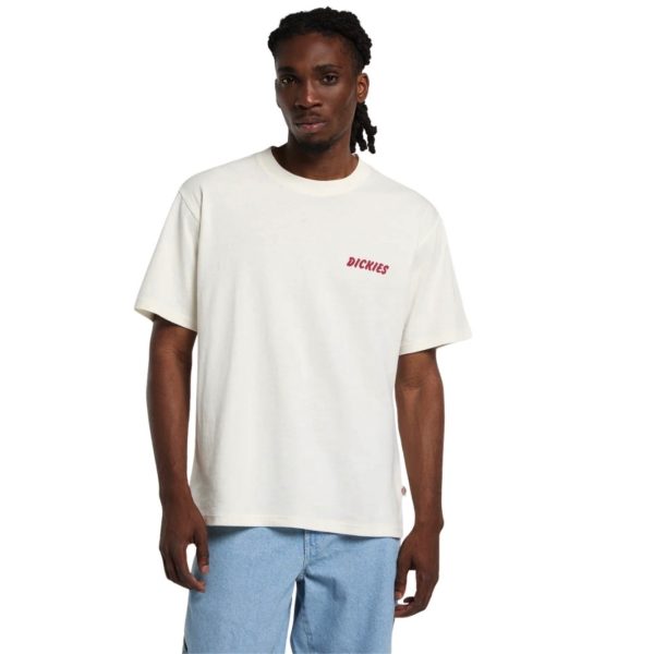 uomo_abbigliamento_tshirt_dickies_dk0a8853c481p26_49113_7947_2_hd.jpg