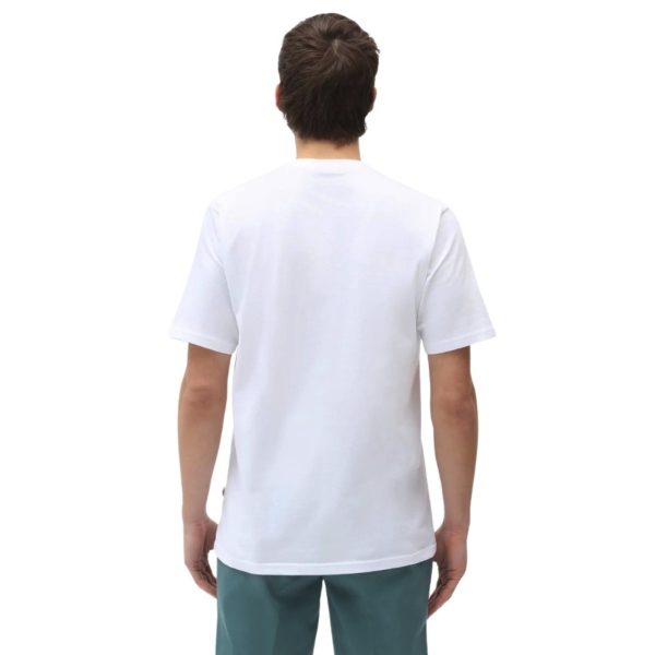 uomo_abbigliamento_tshirt_dickies_dk0a88fg0wh1p26_49123_3888_2_hd.jpg