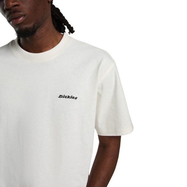 uomo_abbigliamento_tshirt_dickies_dk0a89enecr1p26_49147_7955_4_hd.jpg