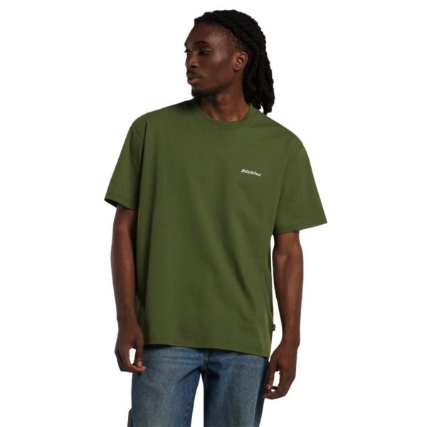 uomo_abbigliamento_tshirt_dickies_dk0a89enk721p26_49148_7943_2_hd.jpg