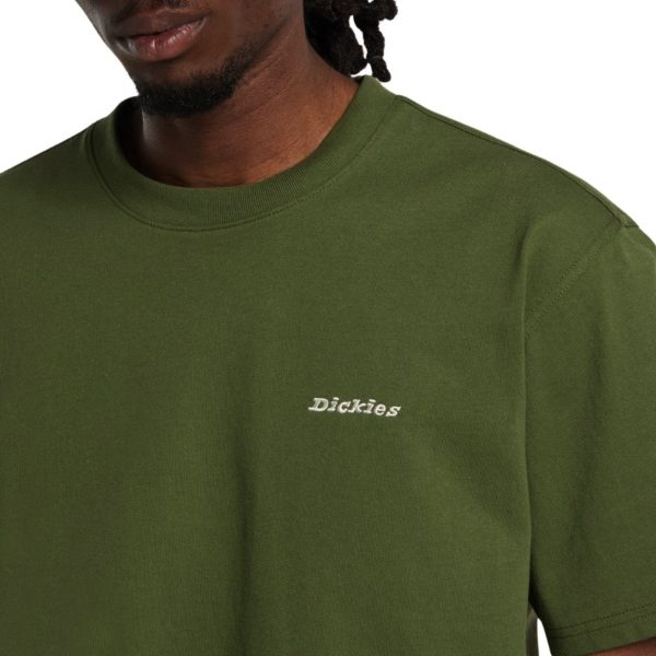 uomo_abbigliamento_tshirt_dickies_dk0a89enk721p26_49148_7943_4_hd.jpg