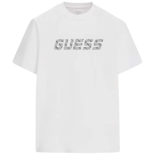 uomo_abbigliamento_tshirt_guess_z6ri15i3z14p26_117214_4880_1_hd.jpg