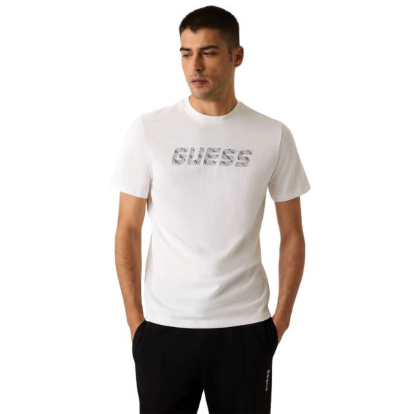 uomo_abbigliamento_tshirt_guess_z6ri15i3z14p26_117214_4880_2_hd.jpg