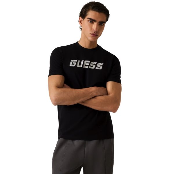 uomo_abbigliamento_tshirt_guess_z6ri15i3z14p26_117214_624_2_hd.jpg
