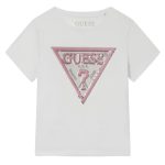 G011