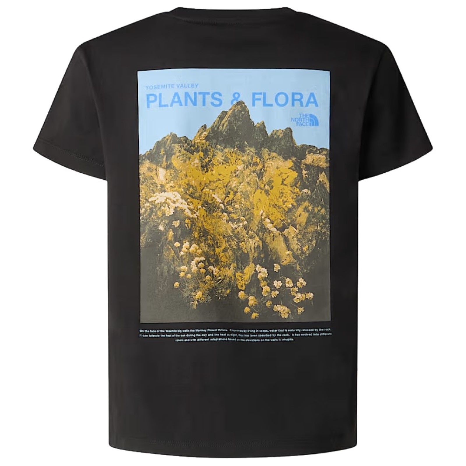 bambina_abbigliamento_tshirt_thenorthface_nf0a8g1mjk31p26_89530_551_2_hd.jpg
