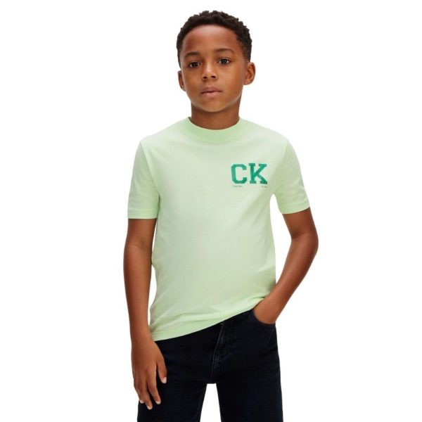 bambino_abbigliamento_tshirt_calvinklein_lvcksja09bljip26_79974_11455_2_hd.jpg