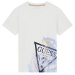 G011