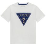 G011