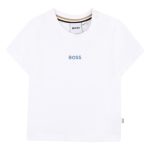 h10P