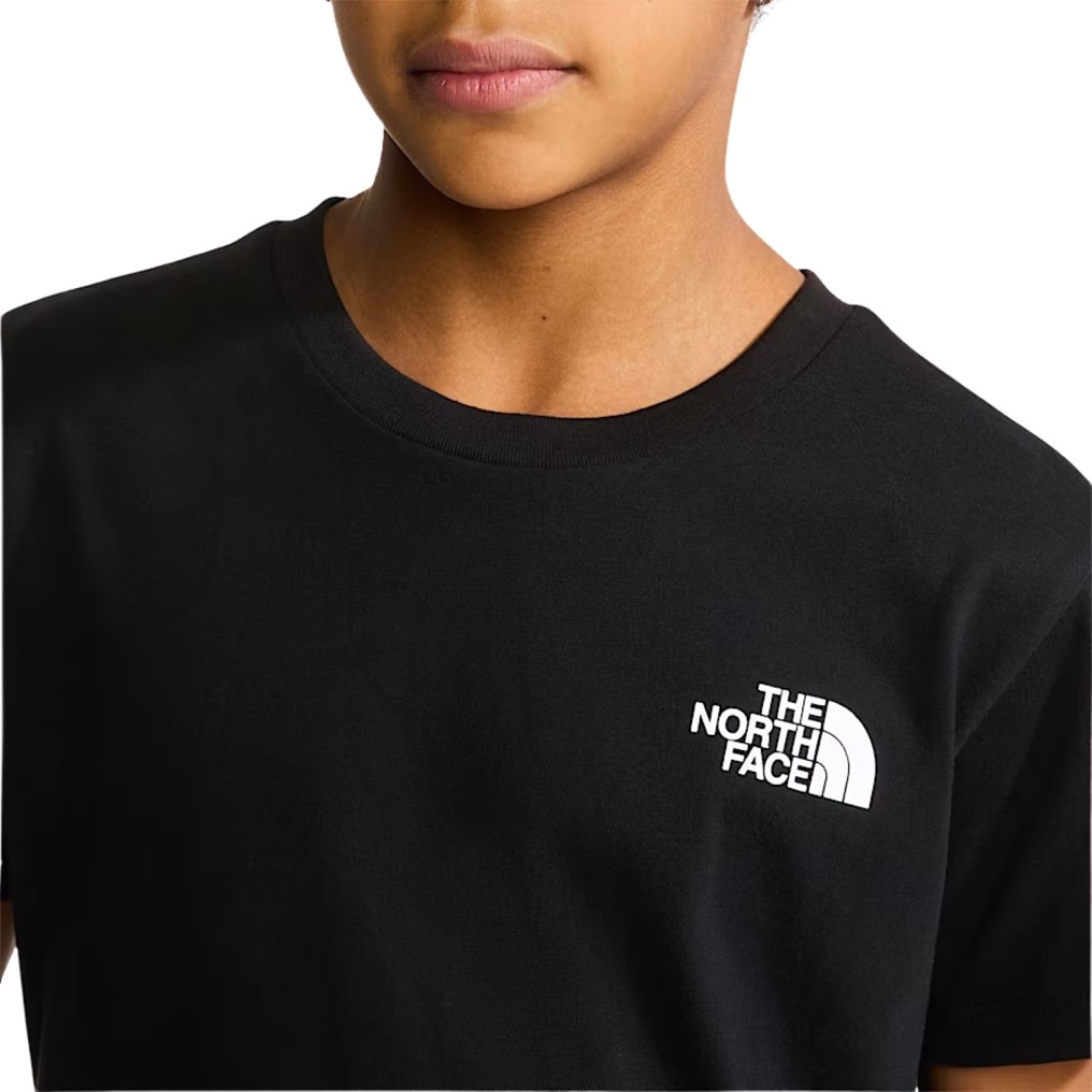 bambino_abbigliamento_tshirt_thenorthface_nf0a87t4jk31p26_89437_551_4_hd.jpg