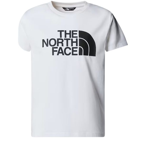 bambino_abbigliamento_tshirt_thenorthface_nf0a8ehgfn41p26_89510_3888_1_hd.jpg