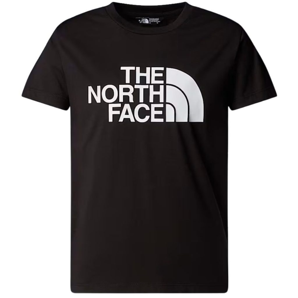 bambino_abbigliamento_tshirt_thenorthface_nf0a8ehgjk31p26_89512_551_1_hd.jpg