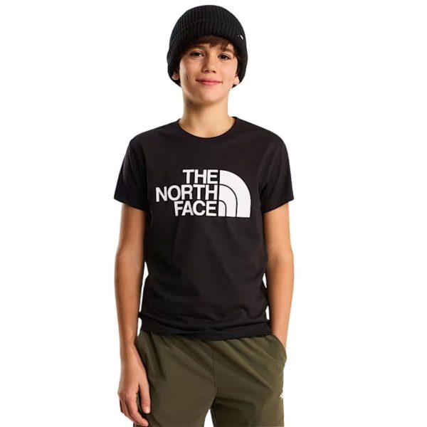 bambino_abbigliamento_tshirt_thenorthface_nf0a8ehgjk31p26_89512_551_2_hd.jpg