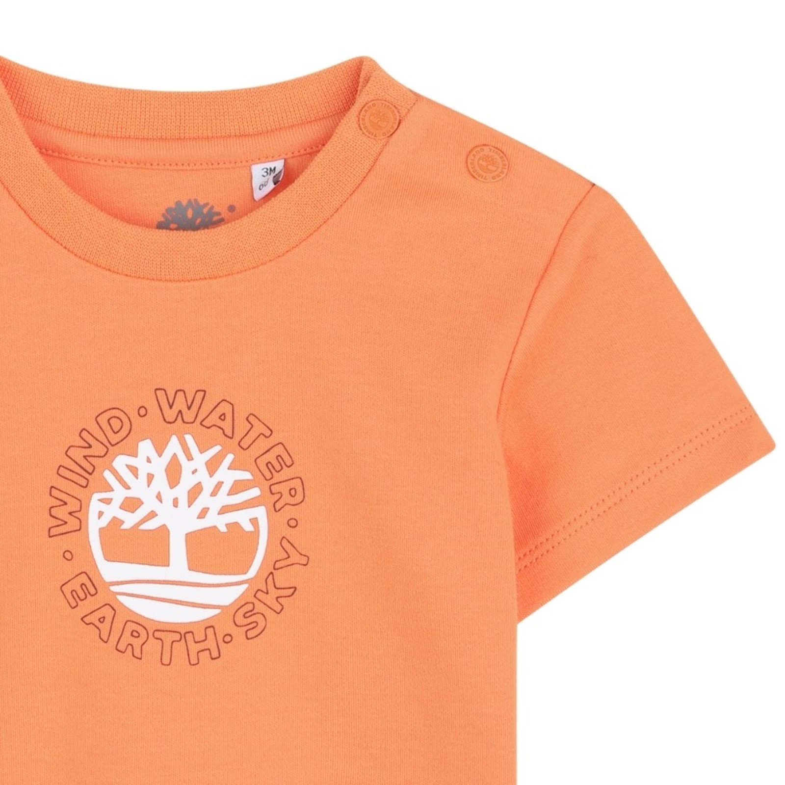 bambino_abbigliamento_tshirt_timberlandkids_t60894p26_101393_13906_3_hd.jpg