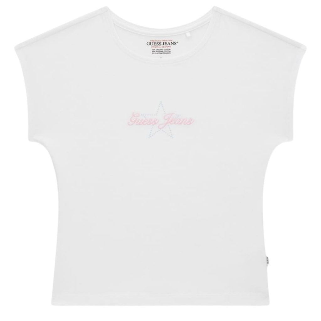 donna_abbigliamento_tshirt_guess_w6ri21j1314p26_112433_623_1_hd.jpg