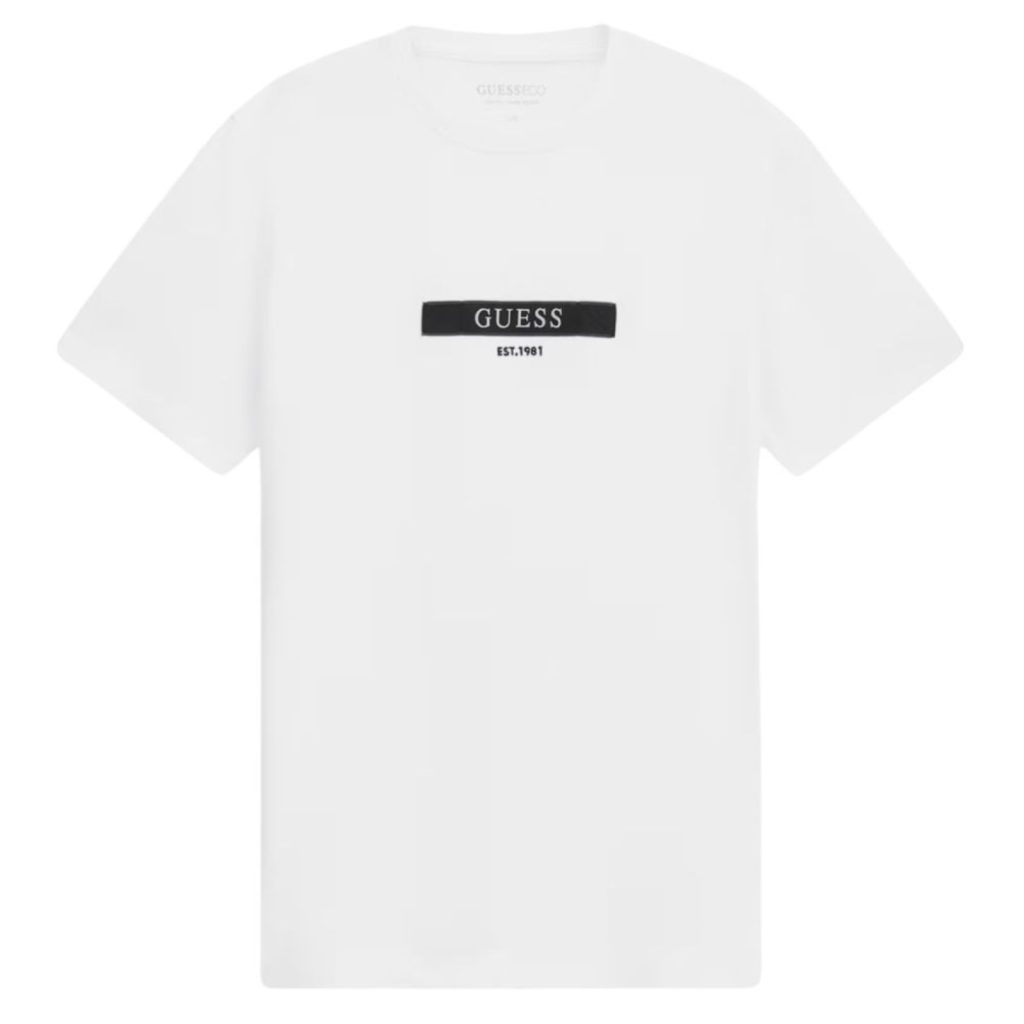 uomo_abbigliamento_tshirt_guess_m6ri17j1314p26_83048_623_1_hd.jpg