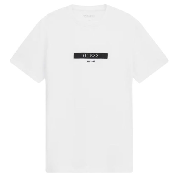 uomo_abbigliamento_tshirt_guess_m6ri17j1314p26_83048_623_1_hd.jpg