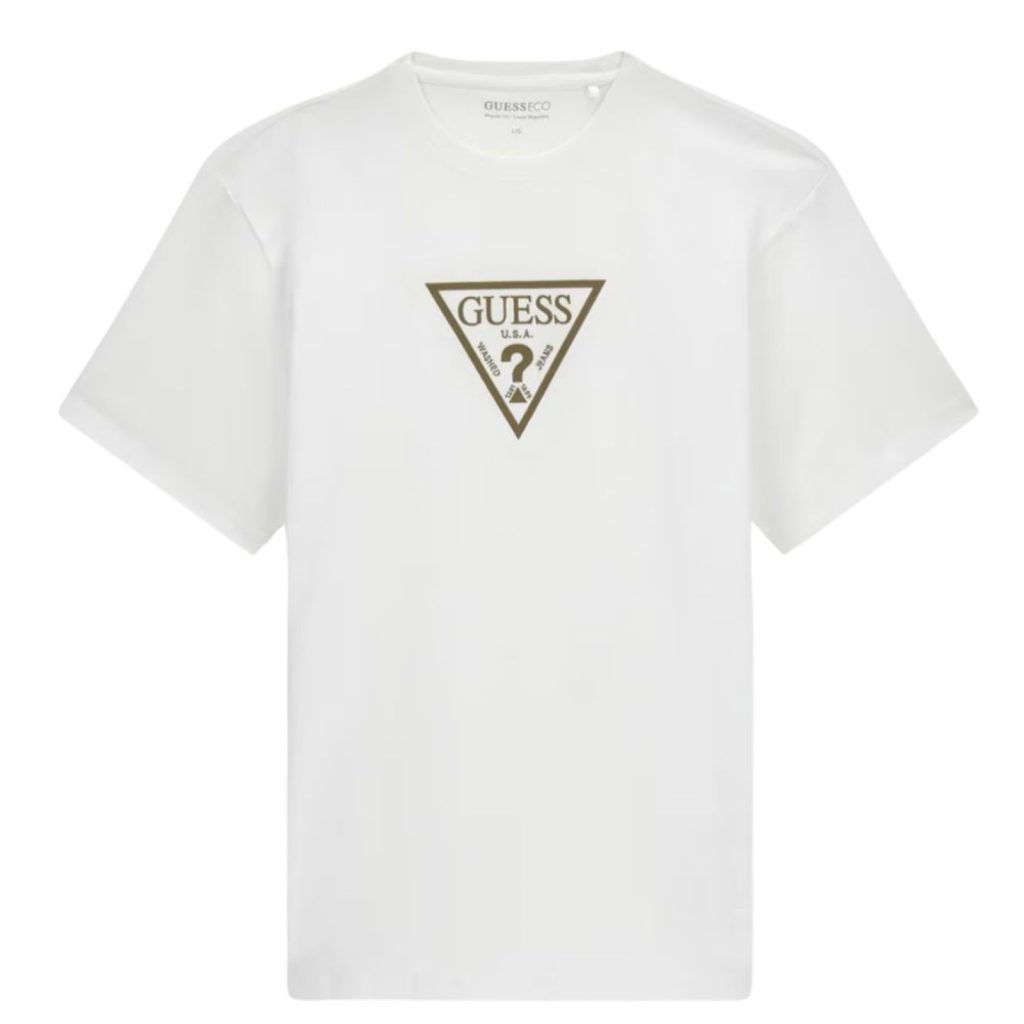 uomo_abbigliamento_tshirt_guess_m6ri23k8fq4p26_83051_623_1_hd.jpg