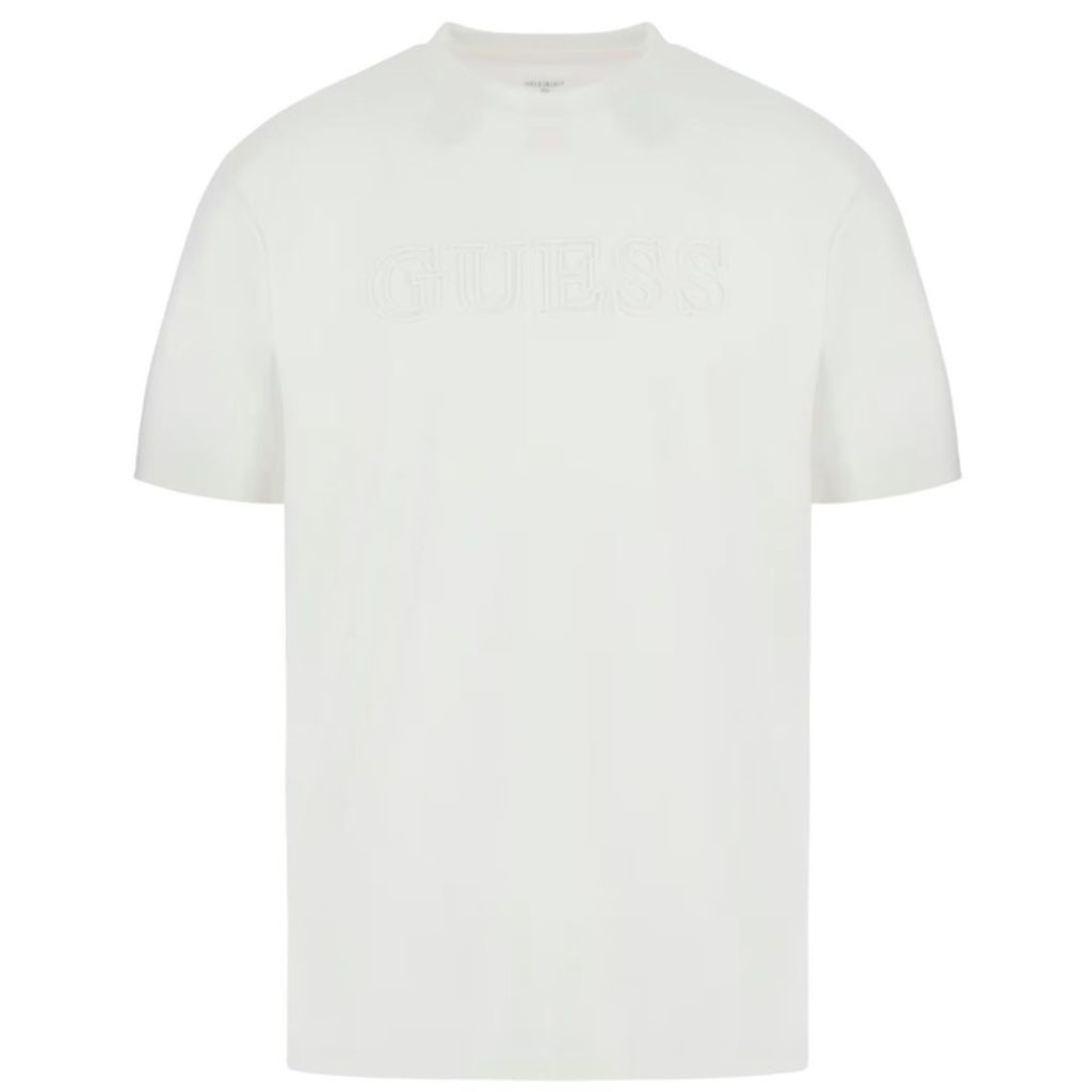 uomo_abbigliamento_tshirt_guess_z2yi11j1314p26_116379_11111_1_hd.jpg