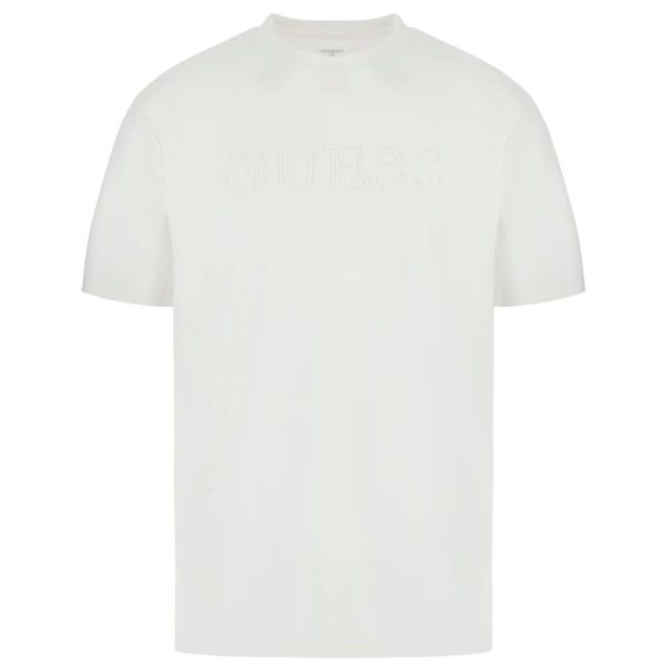 uomo_abbigliamento_tshirt_guess_z2yi11j1314p26_116379_11111_1_hd.jpg