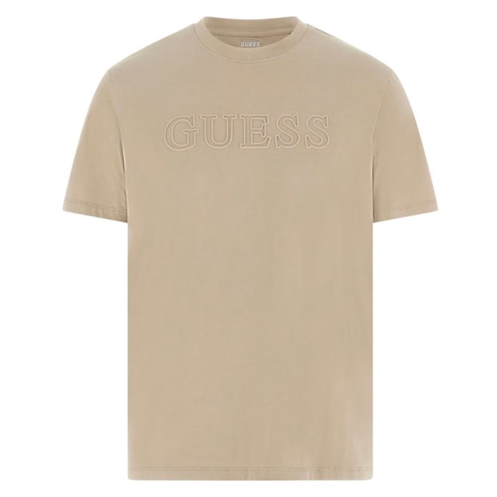 uomo_abbigliamento_tshirt_guess_z2yi11j1314p26_116379_4094_1_hd.jpg