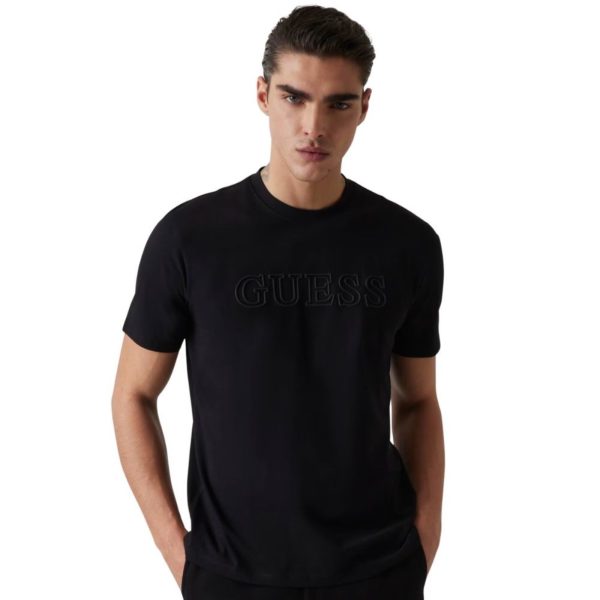 uomo_abbigliamento_tshirt_guess_z2yi11j1314p26_116379_624_2_hd.jpg