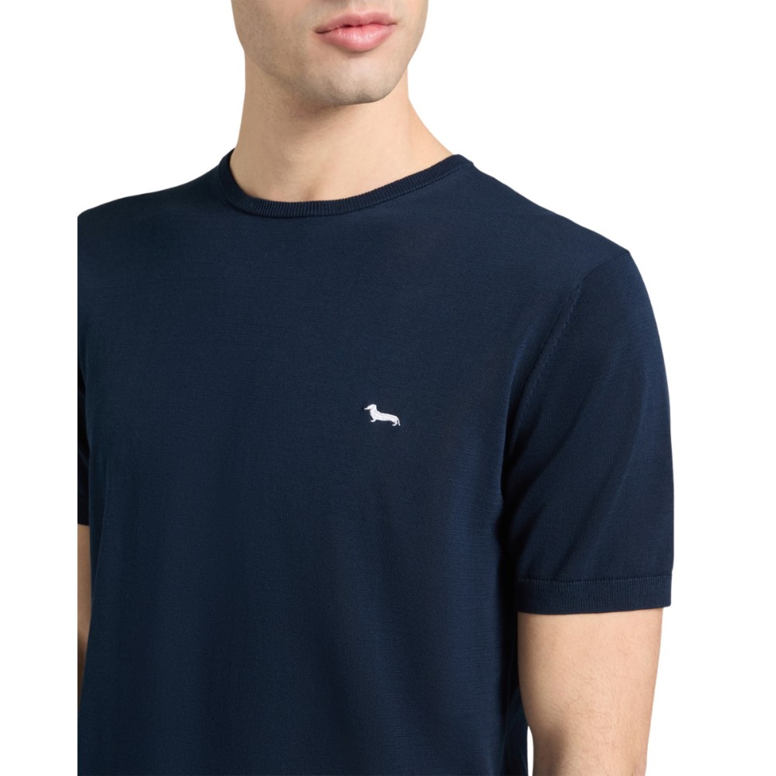 uomo_abbigliamento_tshirt_harmontblaine_hrq239031076p26_60916_7232_3_hd.jpg