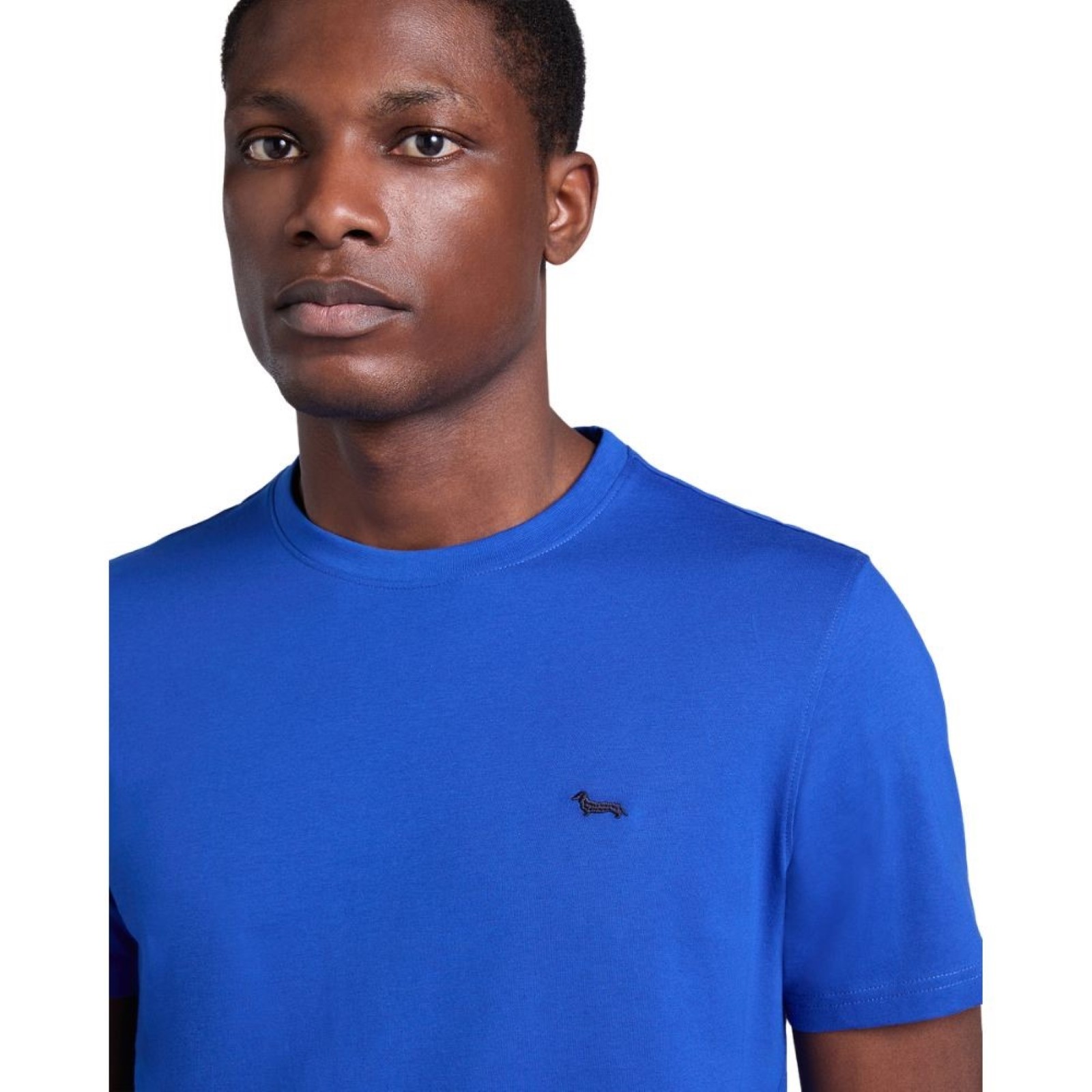 uomo_abbigliamento_tshirt_harmontblaine_inq001021055p26_64940_7797_2_hd.jpg