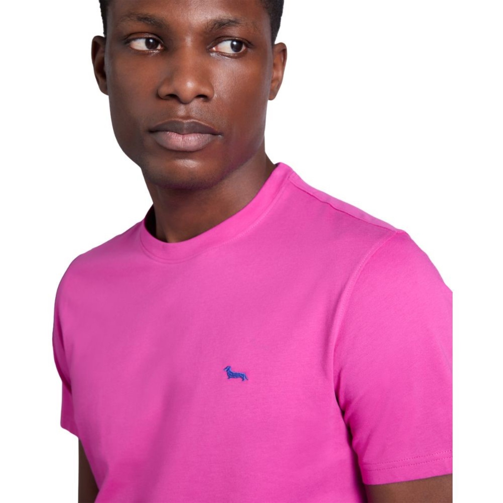 uomo_abbigliamento_tshirt_harmontblaine_inq001021055p26_64940_7808_2_hd.jpg