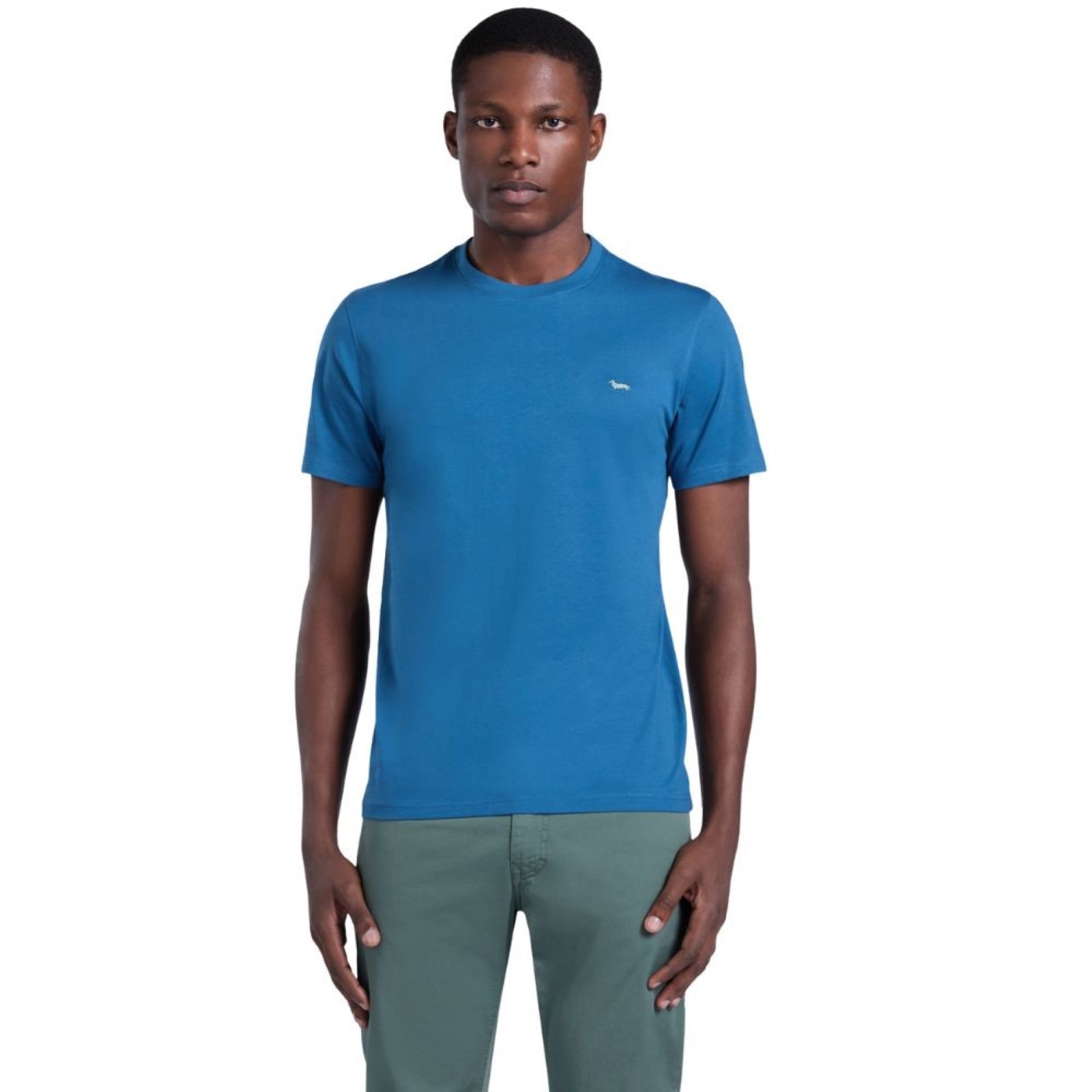 uomo_abbigliamento_tshirt_harmontblaine_inq001021055p26_64940_7810_1_hd.jpg